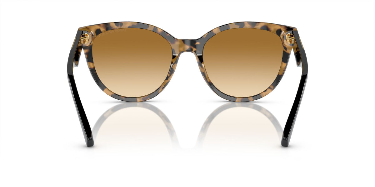 Emporio Armani  0EA4140 60593B 55 Havana Yellow/ Yellow Gradient Light Brown 55 / Polyamide Bio / Acetate / Acetate