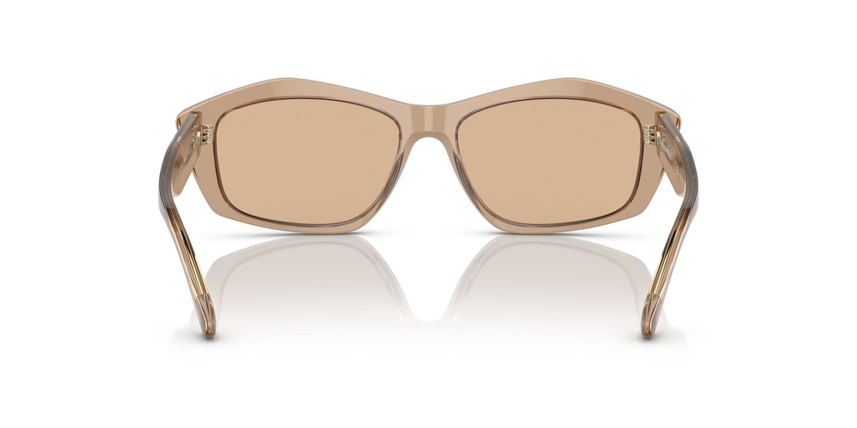 Emporio Armani EA 4187 Shiny Transparent Brown / Light Brown 55 / Plastic