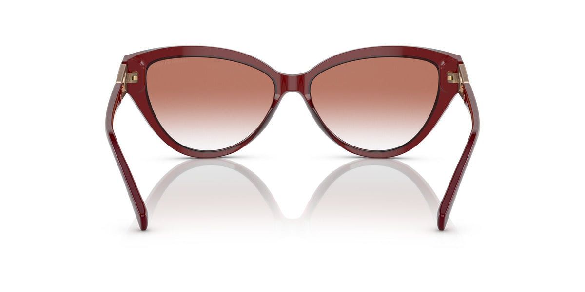 Emporio Armani EA 4192F Shiny Bordeaux / Clear Gradient Red 57 / Polyamide / Acetate / Metal