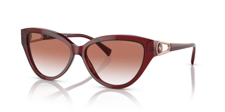 Emporio Armani EA 4192F Shiny Bordeaux / Clear Gradient Red 57 / Plastic