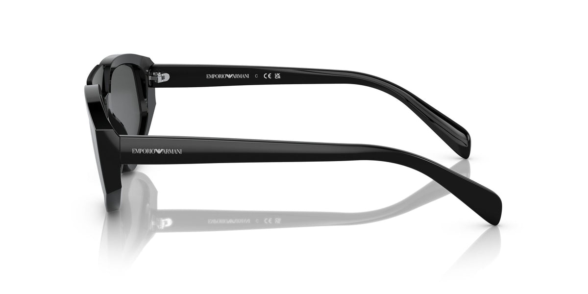 Emporio Armani EA 4194 Shiny Black / Dark Grey 29 / Polyamide / Acetate / Acetate