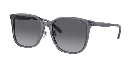 Emporio Armani  0EA4206D 5029T3 57 Shiny Transparent Grey/ Polar Grey Gradient 57 / Cr39 / Acetate / Acetate