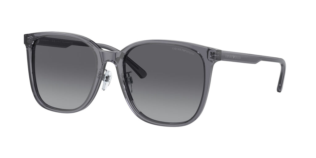 Emporio Armani  0EA4206D 5029T3 57 Shiny Transparent Grey/ Polar Grey Gradient 57 / Cr39 / Acetate / Acetate