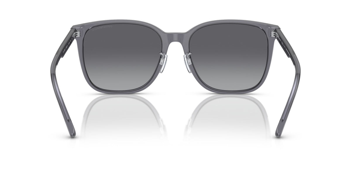 Emporio Armani  0EA4206D 5029T3 57 Shiny Transparent Grey/ Polar Grey Gradient 57 / Cr39 / Acetate / Acetate