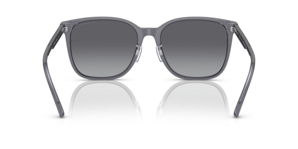 Emporio Armani  0EA4206D 5029T3 57 Shiny Transparent Grey/ Polar Grey Gradient 57 / Cr39 / Acetate / Acetate