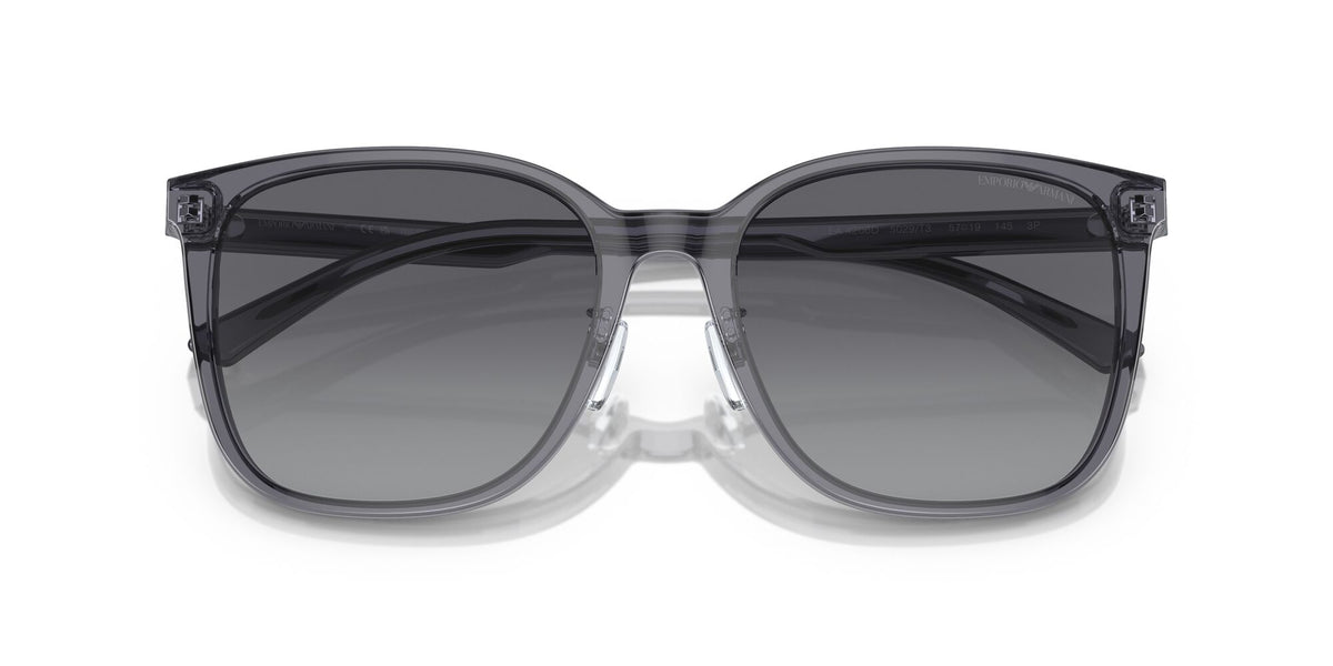 Emporio Armani  0EA4206D 5029T3 57 Shiny Transparent Grey/ Polar Grey Gradient 57 / Cr39 / Acetate / Acetate