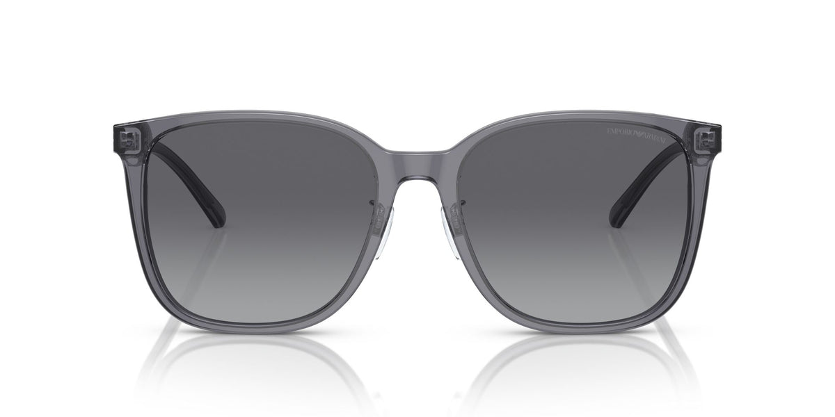 Emporio Armani  0EA4206D 5029T3 57 Shiny Transparent Grey/ Polar Grey Gradient 57 / Cr39 / Acetate / Acetate