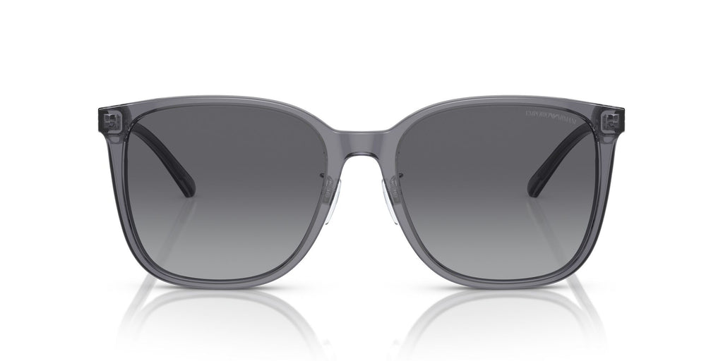 Emporio Armani  0EA4206D 5029T3 57 Shiny Transparent Grey/ Polar Grey Gradient 57 / Cr39 / Acetate / Acetate