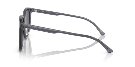 Emporio Armani  0EA4206D 5029T3 57 Shiny Transparent Grey/ Polar Grey Gradient 57 / Cr39 / Acetate / Acetate