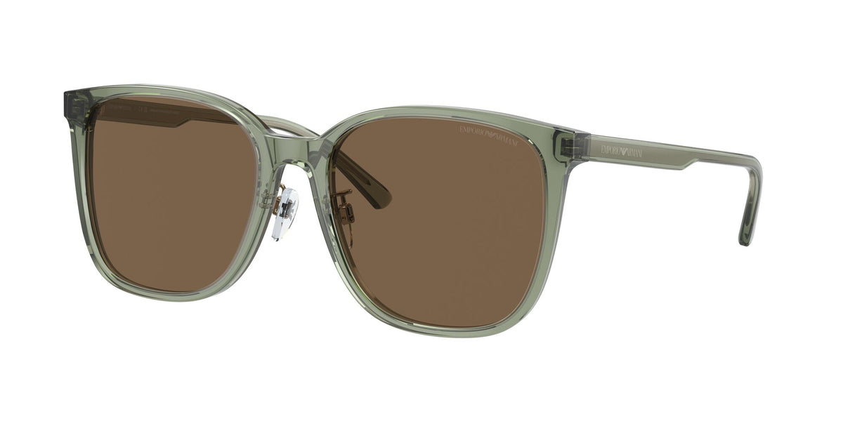 Emporio Armani  0EA4206D 536273 57 Transparent Green/ Dark Brown 57 / Polyamide Bio / Acetate / Acetate