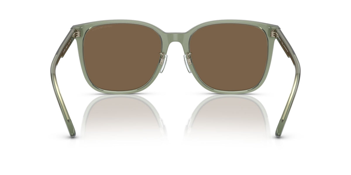 Emporio Armani  0EA4206D 536273 57 Transparent Green/ Dark Brown 57 / Polyamide Bio / Acetate / Acetate