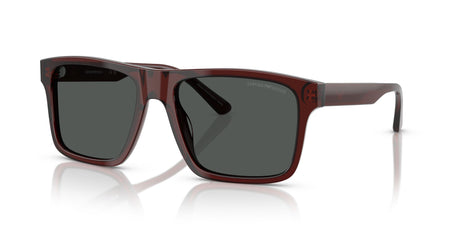 Emporio Armani  0EA4232F 617487 57 Transparent Brown/ Smoke