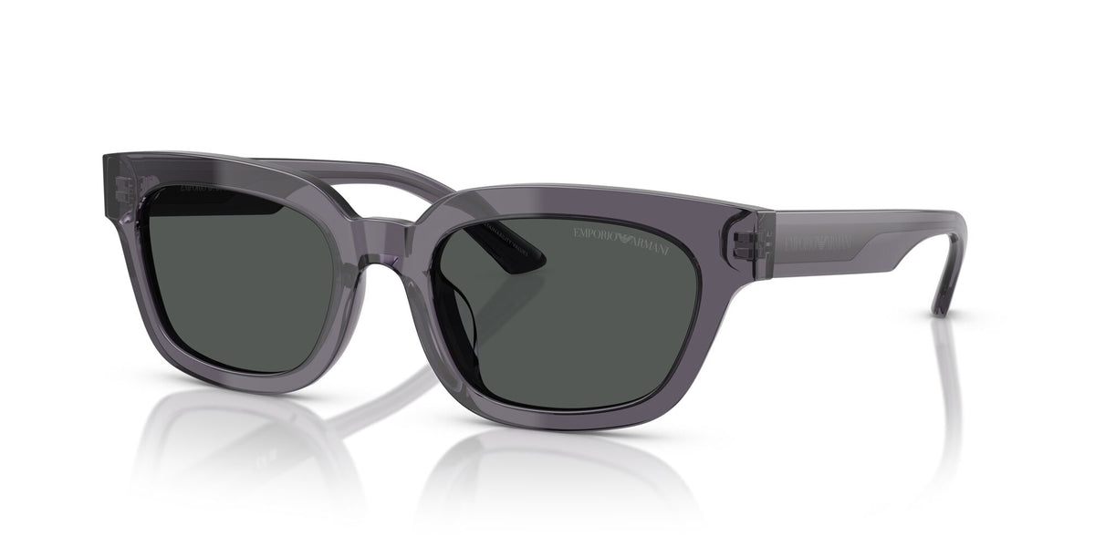 Emporio Armani  0EA4233U 610687 53 Transparent Grey/ Dark Grey