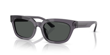 Emporio Armani  0EA4233U 610687 53 Transparent Grey/ Dark Grey