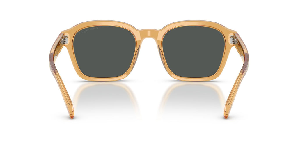 Emporio Armani  EA4245U 624687 54 Shiny Transparent Yellow / Dark Grey