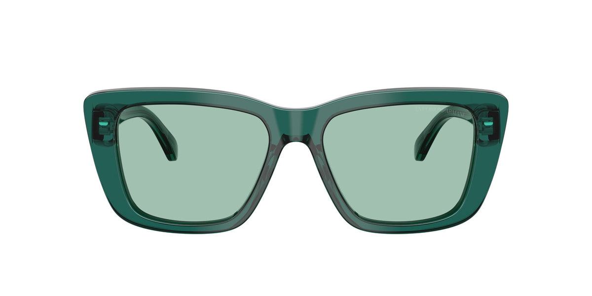 Emporio Armani  EA4246U 6252/2 54 Shiny Transparent Green / Green