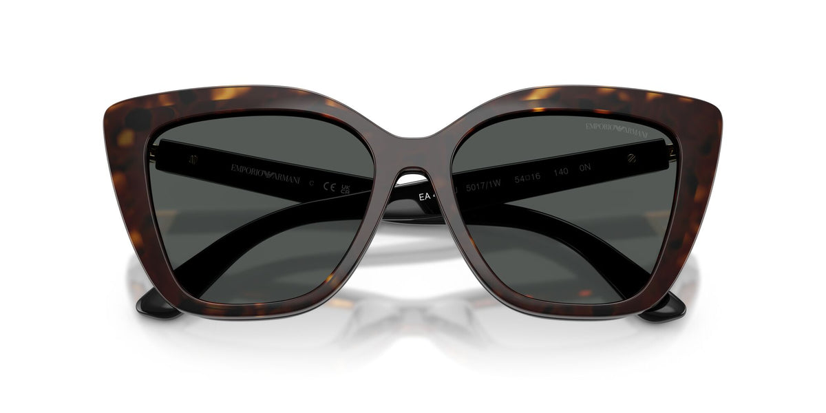 Emporio Armani  EA4254U 50171W 54 Shiny Black / Clear