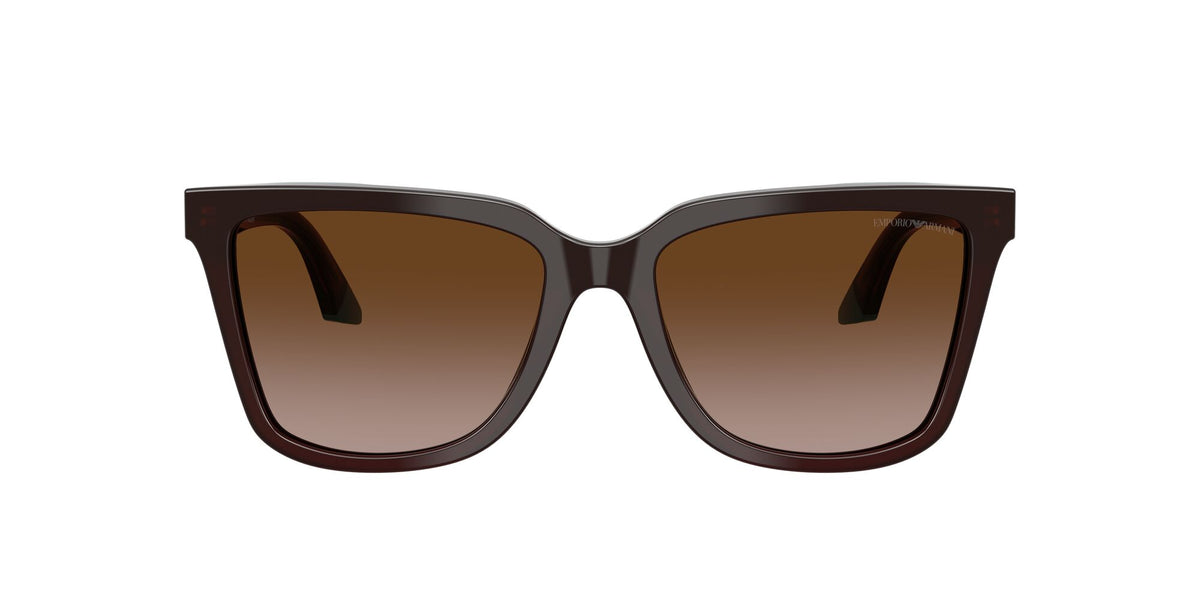 Emporio Armani 0EA4261 631813 55 Transparent Brown/Teal/ Brown Gradient
