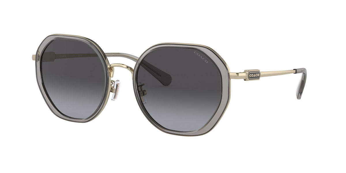 Coach Cd477 0HC7141 90058G 54 Transparent Grey/ Grey Gradient 54 / Plastic / Metal