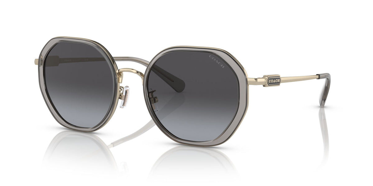 Coach Cd477 0HC7141 90058G 54 Transparent Grey/ Grey Gradient 54 / Plastic / Metal