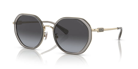 Coach Cd477 0HC7141 90058G 54 Transparent Grey/ Grey Gradient 54 / Plastic / Metal