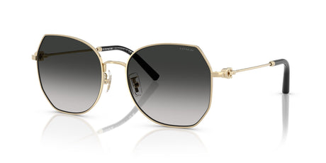 Coach Cad79 HC7175 90053C 56 Shiny Light Gold / Grey Gradient