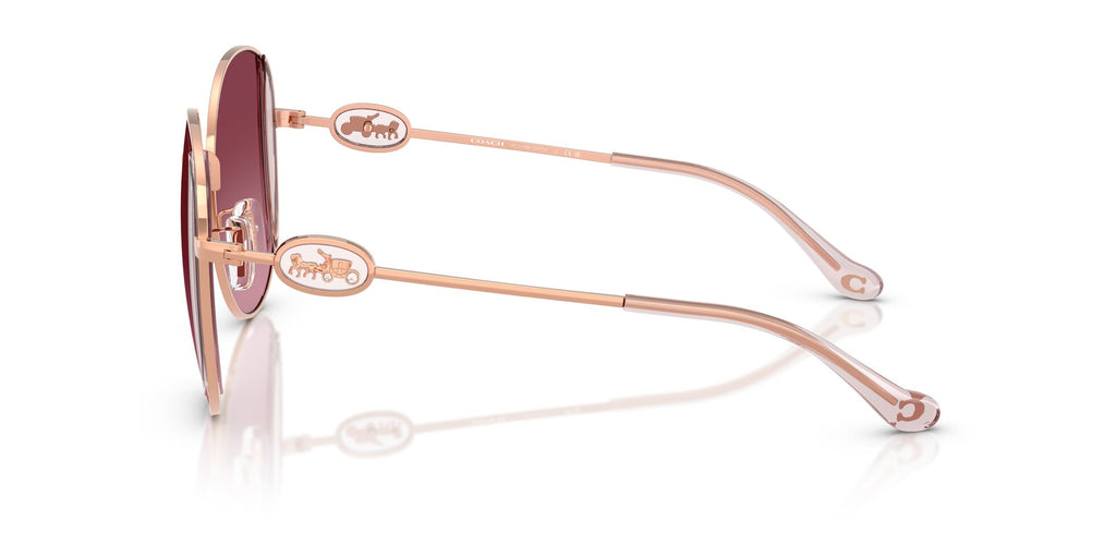 Coach Cad73 HC7176B 93318H 54 Shiny Rose Gold/Rose / Berry Gradient