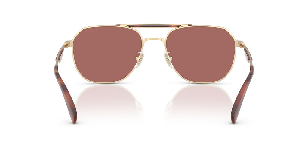 Coach Cae80 HC7178 90050H 57 Satin Light Gold/Caramel / Wine Solid
