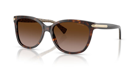 Coach L109 0HC8132 529113 57 Dark Tortoise/ Dark Brown Gradient 57 / Plastic / Plastic