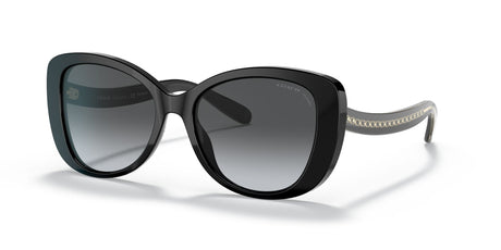 Coach HC 8322 Black / Grey Gradient Polar 54 / Plastic / Plastic