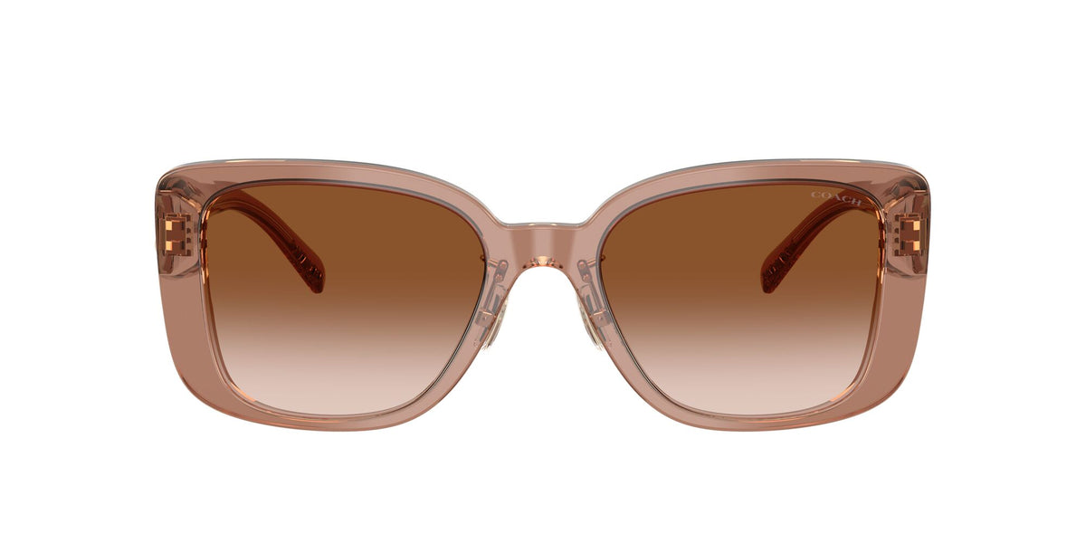 Coach 0HC8352 577913 54 Brown/Grey/ Brown Gradient