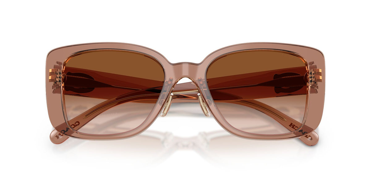 Coach 0HC8352 577913 54 Brown/Grey/ Brown Gradient