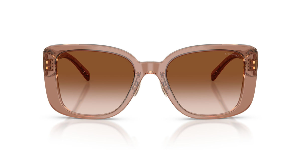 Coach 0HC8352 577913 54 Brown/Grey/ Brown Gradient