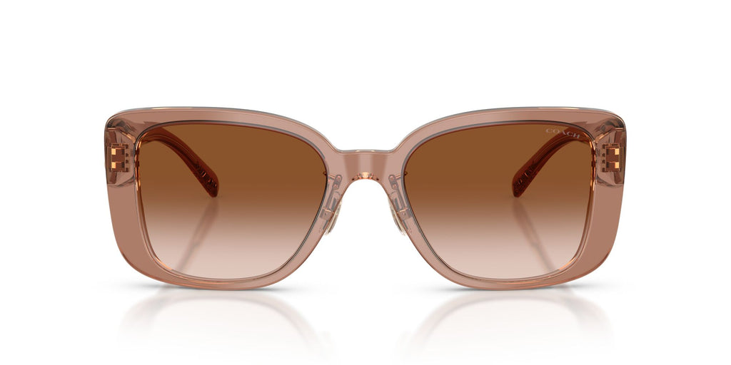 Coach 0HC8352 577913 54 Brown/Grey/ Brown Gradient