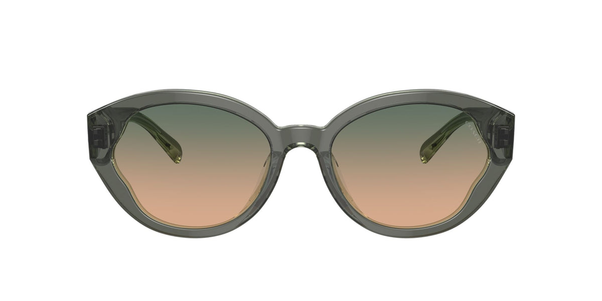 Coach Ch569 0HC8364U 574613 55 Moss/Mint/ Green Beige Gradient 55 / Polyamide / Acetate / Acetate
