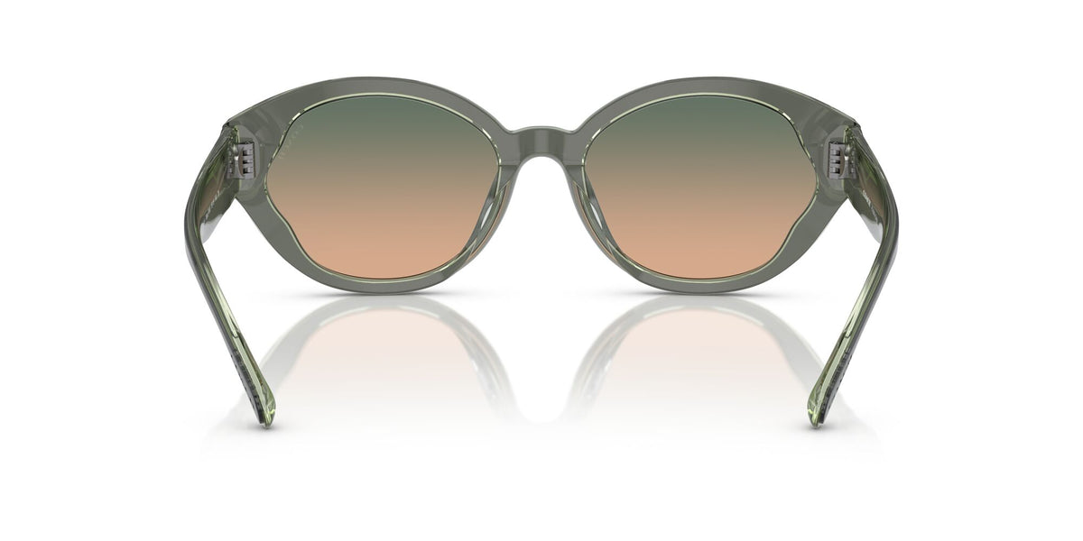 Coach Ch569 0HC8364U 574613 55 Moss/Mint/ Green Beige Gradient 55 / Polyamide / Acetate / Acetate