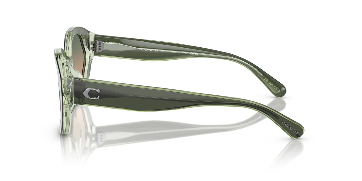 Coach Ch569 0HC8364U 574613 55 Moss/Mint/ Green Beige Gradient 55 / Polyamide / Acetate / Acetate