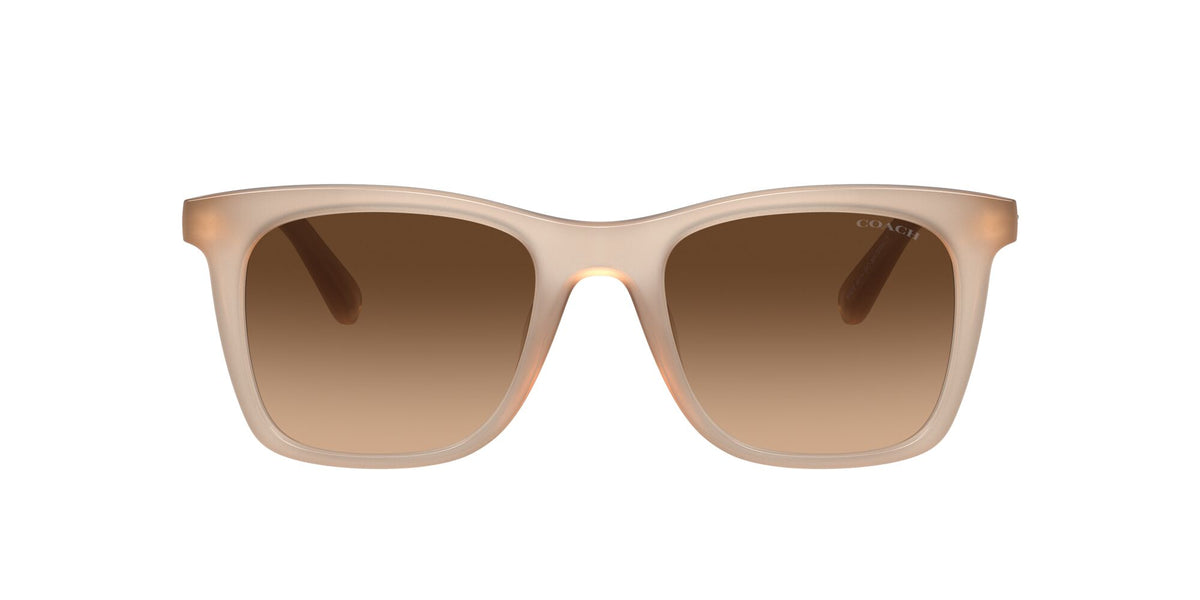 Coach Ck463 0HC8374F 574774 54 Milky Ivory/ Brown Gradient 54 / Polyamide / Injected / Nylon