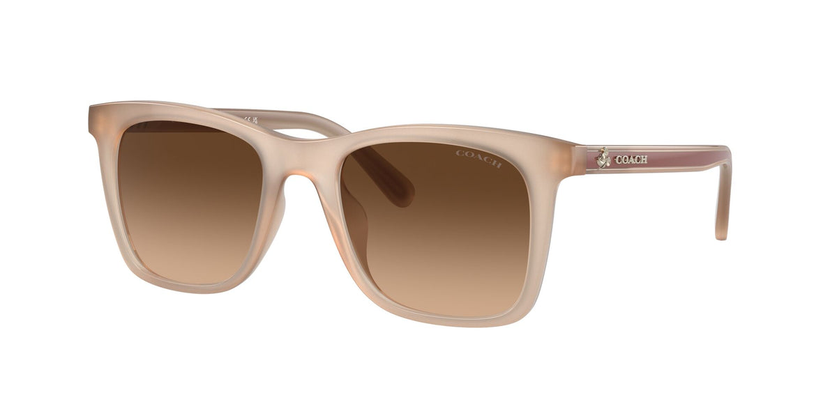 Coach Ck463 0HC8374F 574774 54 Milky Ivory/ Brown Gradient 54 / Polyamide / Injected / Nylon
