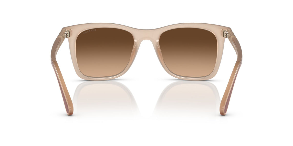 Coach Ck463 0HC8374F 574774 54 Milky Ivory/ Brown Gradient 54 / Polyamide / Injected / Nylon