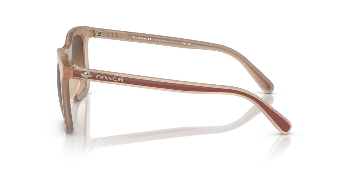 Coach Ck463 0HC8374F 574774 54 Milky Ivory/ Brown Gradient 54 / Polyamide / Injected / Nylon