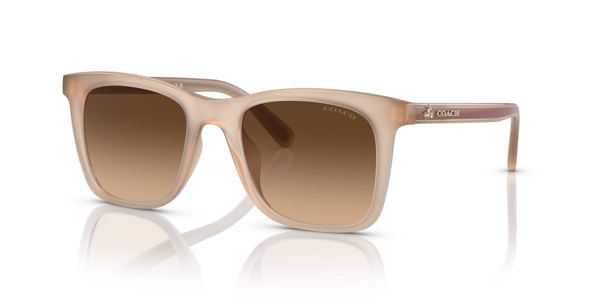 Coach Ck463 0HC8374F 574774 54 Milky Ivory/ Brown Gradient 54 / Polyamide / Injected / Nylon