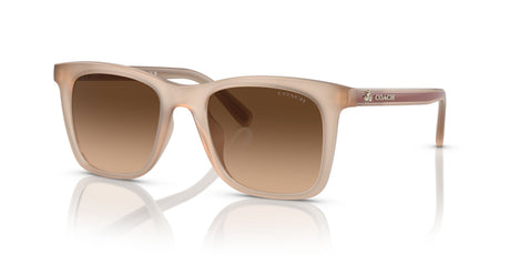 Coach Ck463 0HC8374F 574774 54 Milky Ivory/ Brown Gradient 54 / Polyamide / Injected / Nylon