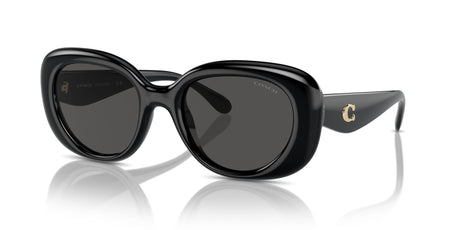 Coach 0HC8391U 500287 53 Black/ Grey Solid