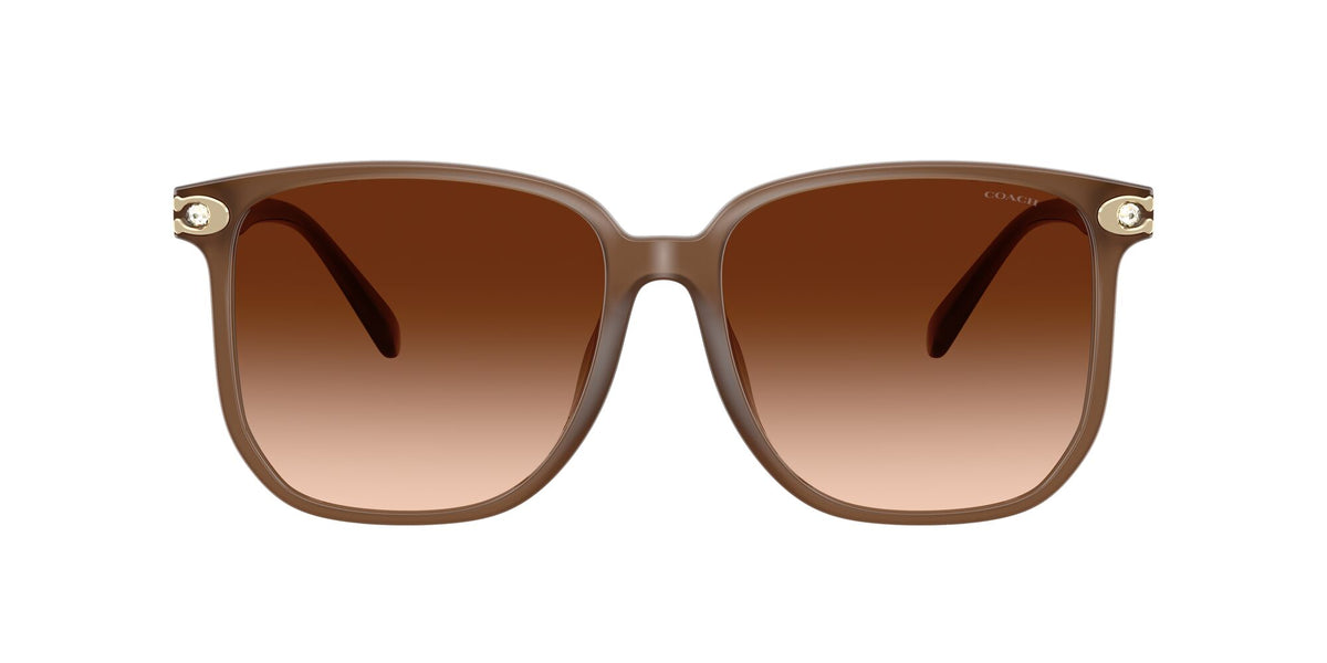 Coach Cw419 HC8413BD 580874 58 Milky Brown / Brown Gradient