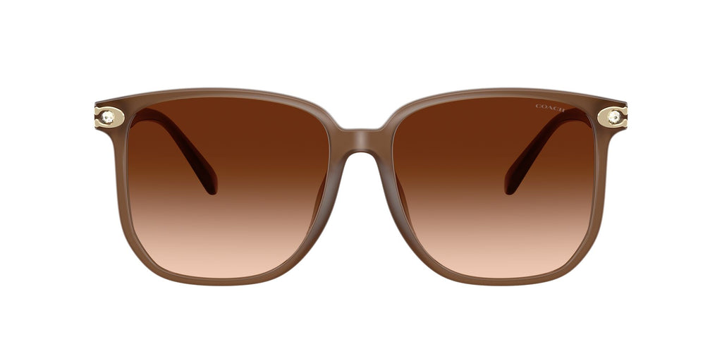 Coach Cw419 HC8413BD 580874 58 Milky Brown / Brown Gradient