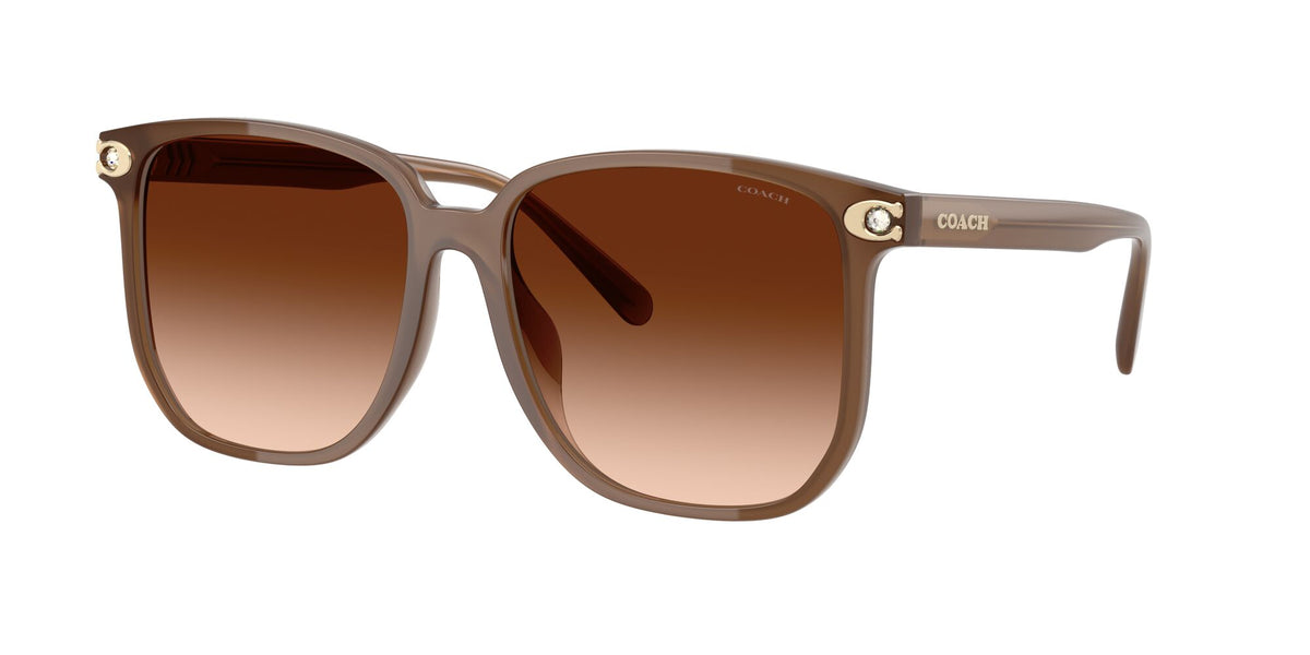 Coach Cw419 HC8413BD 580874 58 Milky Brown / Brown Gradient