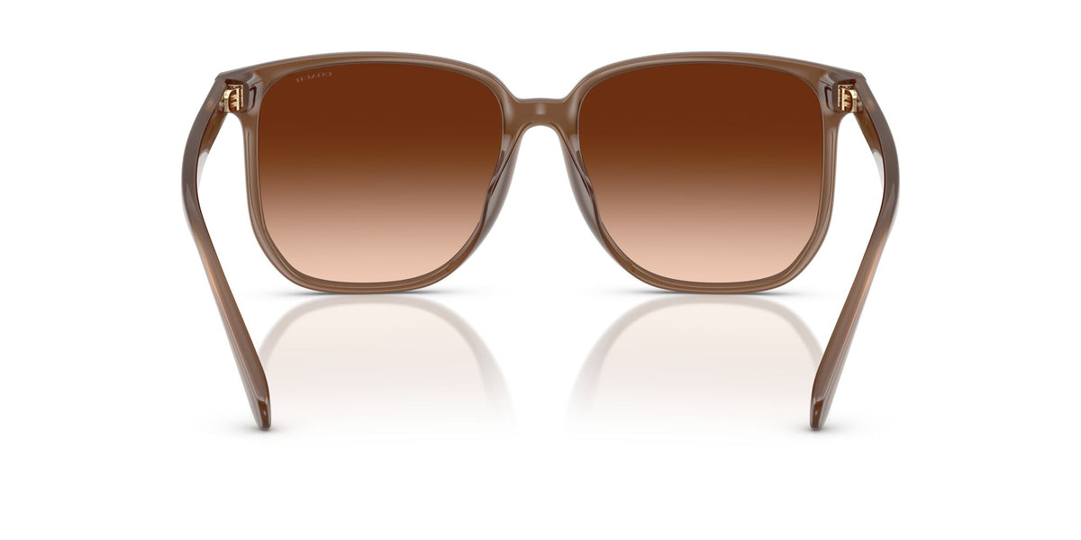 Coach Cw419 HC8413BD 580874 58 Milky Brown / Brown Gradient