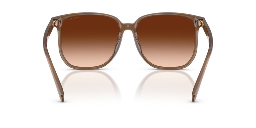 Coach Cw419 HC8413BD 580874 58 Milky Brown / Brown Gradient