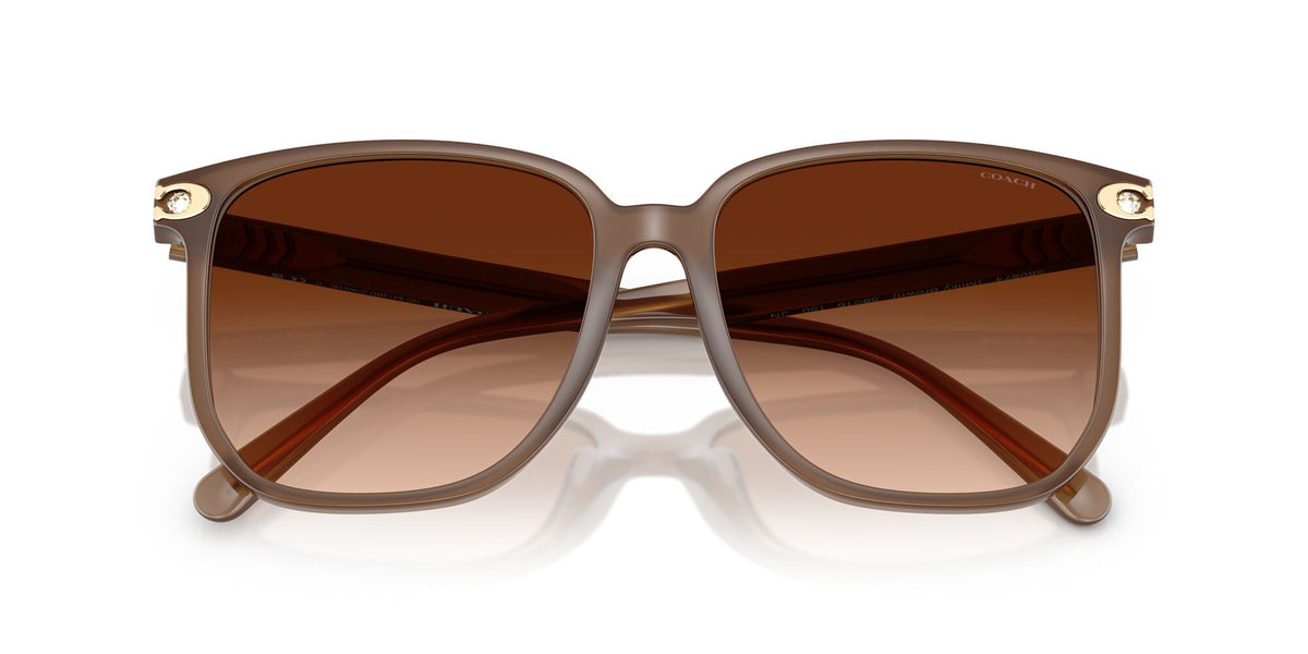 Coach Cw419 HC8413BD 580874 58 Milky Brown / Brown Gradient